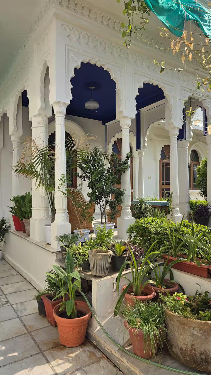 Otla- Ground Floor x Solis Nature