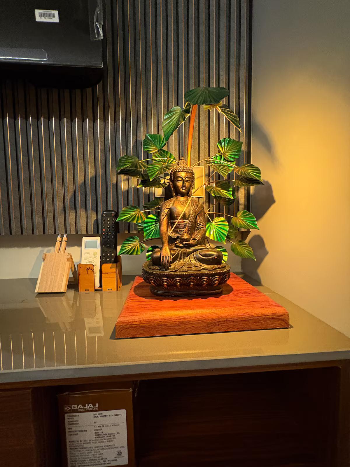 Modern Heaven Cottage x Solis Nature