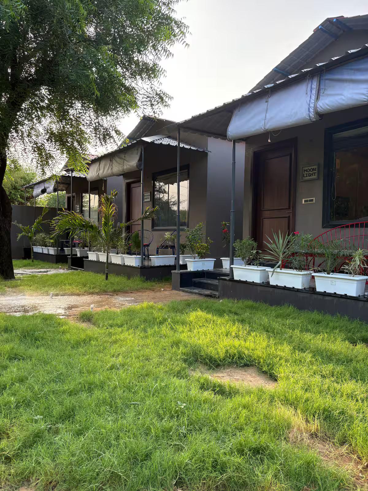 Modern Heaven Cottage x Solis Nature