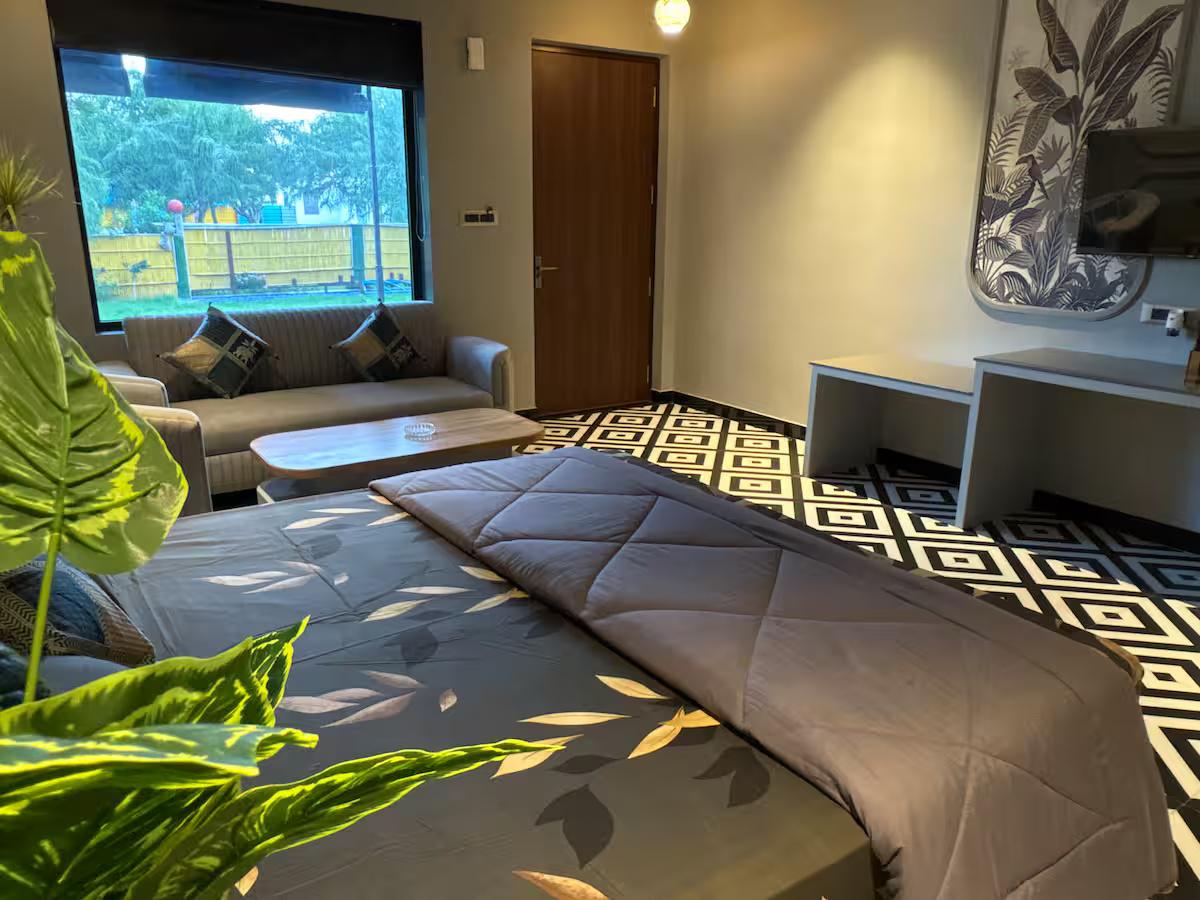 Grey House Cottage x Solis Nature