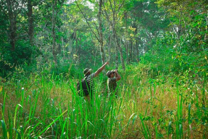 Mistletoe Homestay & Art Gallery Cafe x Solis Nature