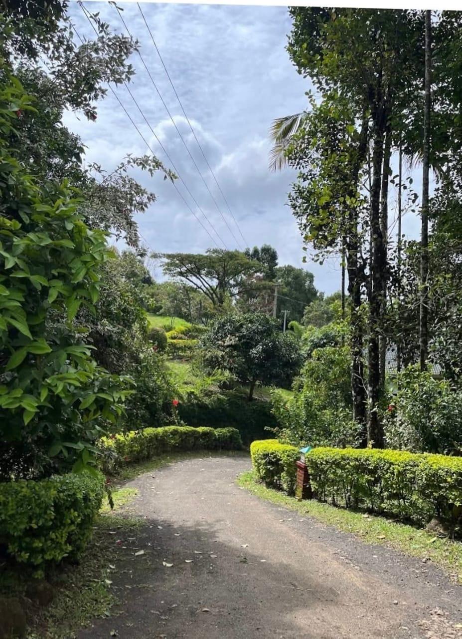 Ambady Estate x Solis Nature