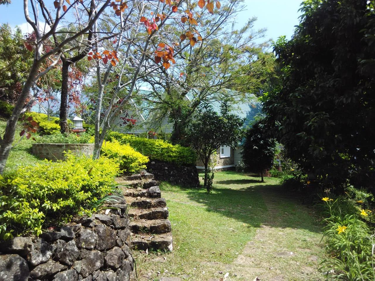 Ambady Estate x Solis Nature