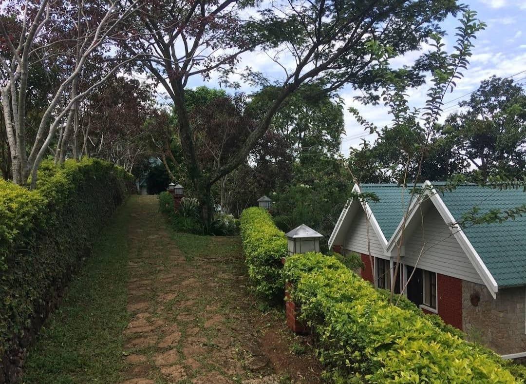 Ambady Estate x Solis Nature