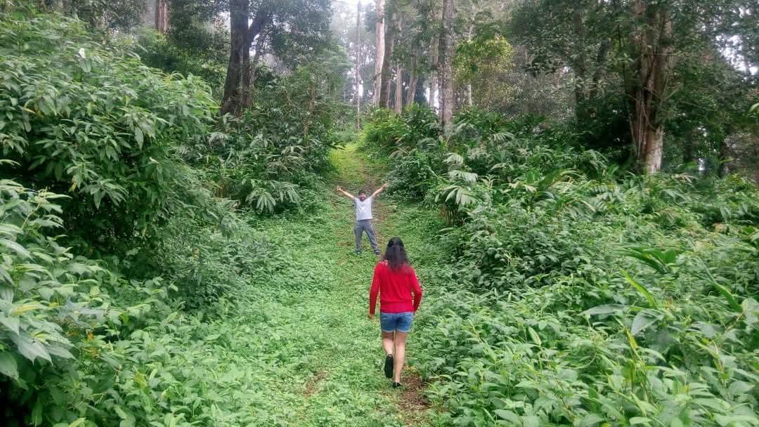 Ambady Estate x Solis Nature