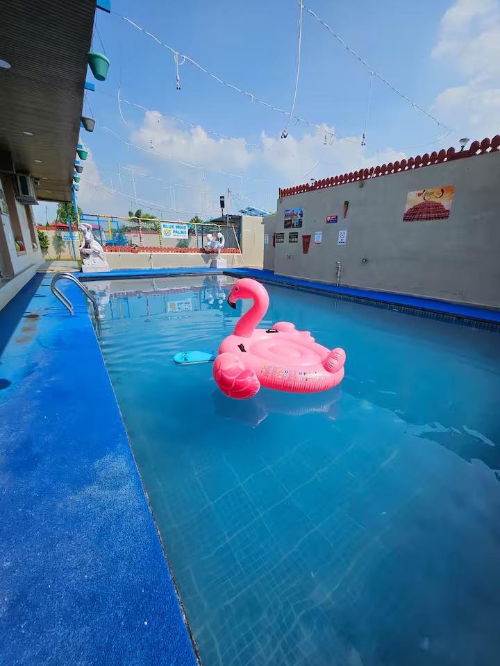 Enjoy pool at private villa in jaipur x Solis Nature