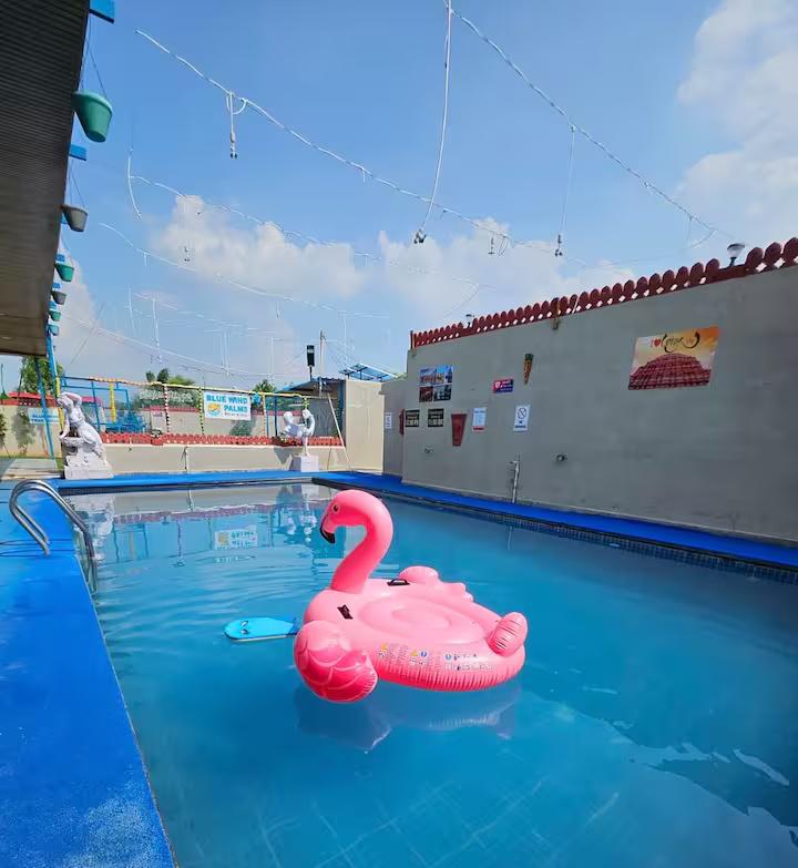 Enjoy pool at private villa in jaipur x Solis Nature