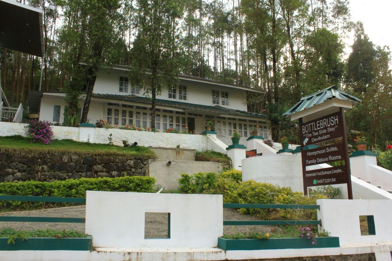 Bottlebrush The Tea Side Stay Villa x Solis Nature