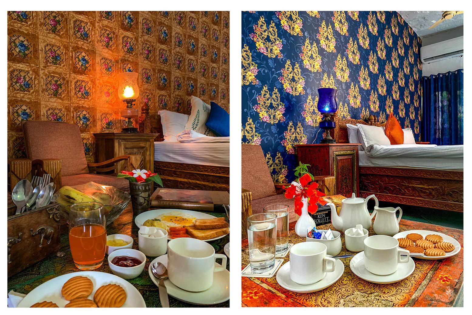 BARSINGHA VILLA x Solis Nature