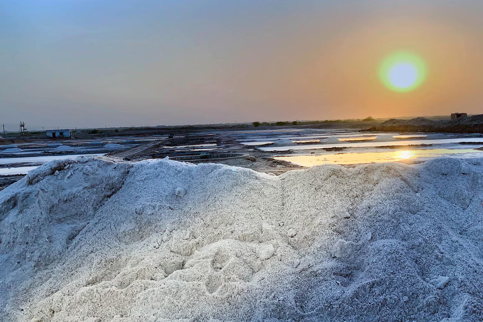 BARSINGHA VILLA x Solis Nature