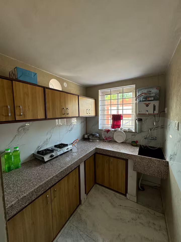 Blue wind TreeHouse x Solis Nature