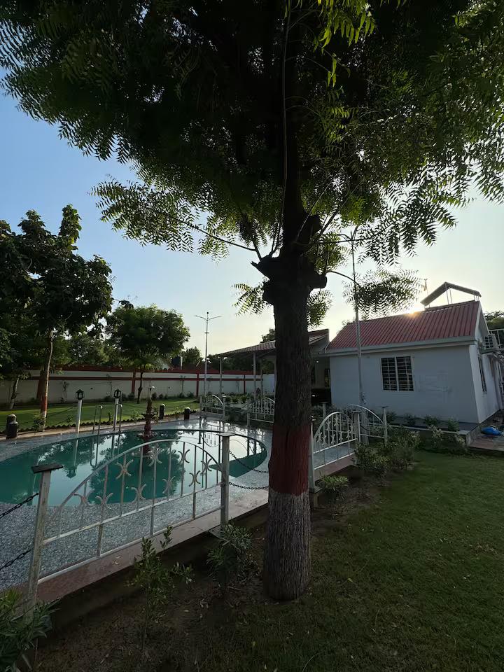 Blue wind TreeHouse x Solis Nature