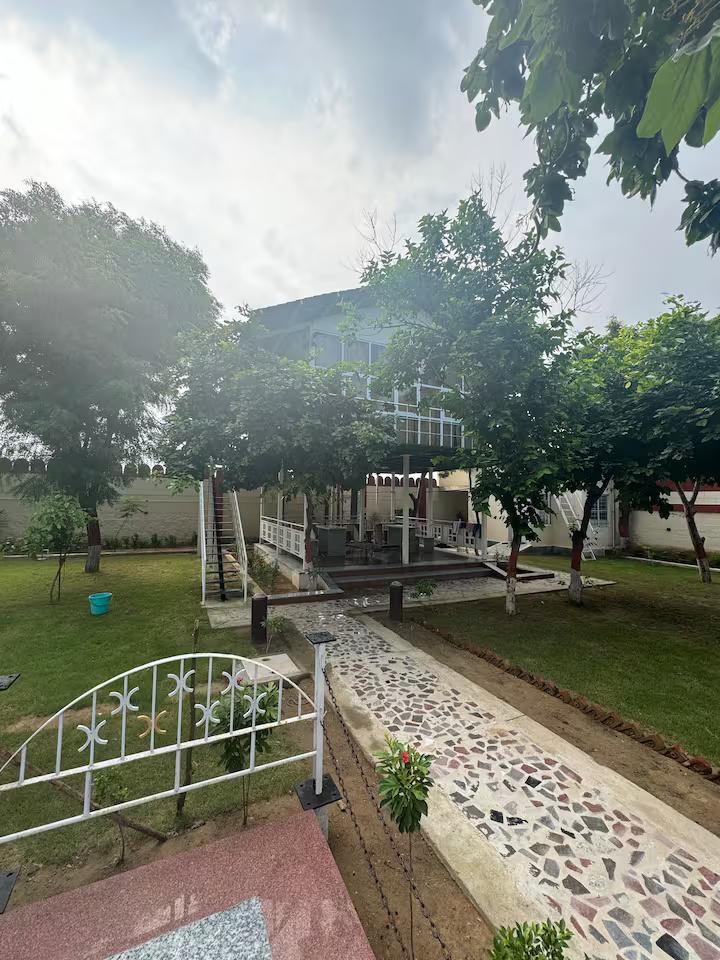 Blue wind TreeHouse x Solis Nature