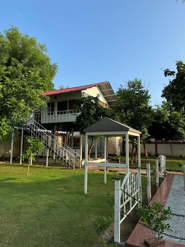 Blue wind TreeHouse x Solis Nature