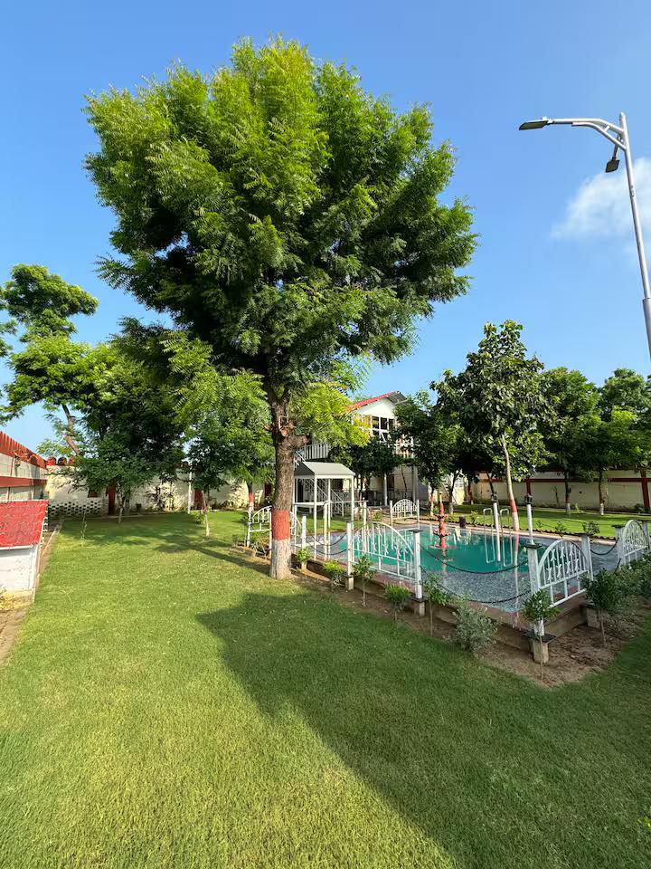 Blue wind TreeHouse x Solis Nature