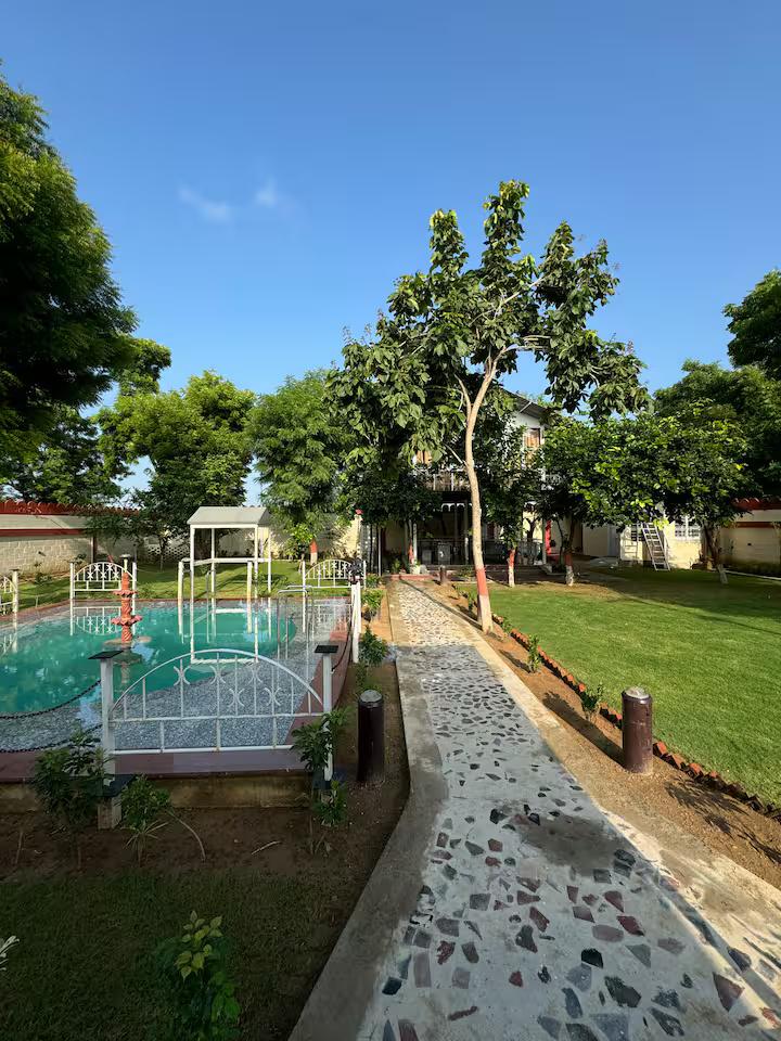 Blue wind TreeHouse x Solis Nature