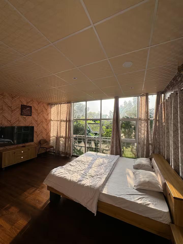 Blue wind TreeHouse x Solis Nature