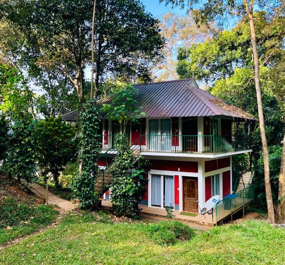 Oxygen Rainforest Resort x Solis Nature