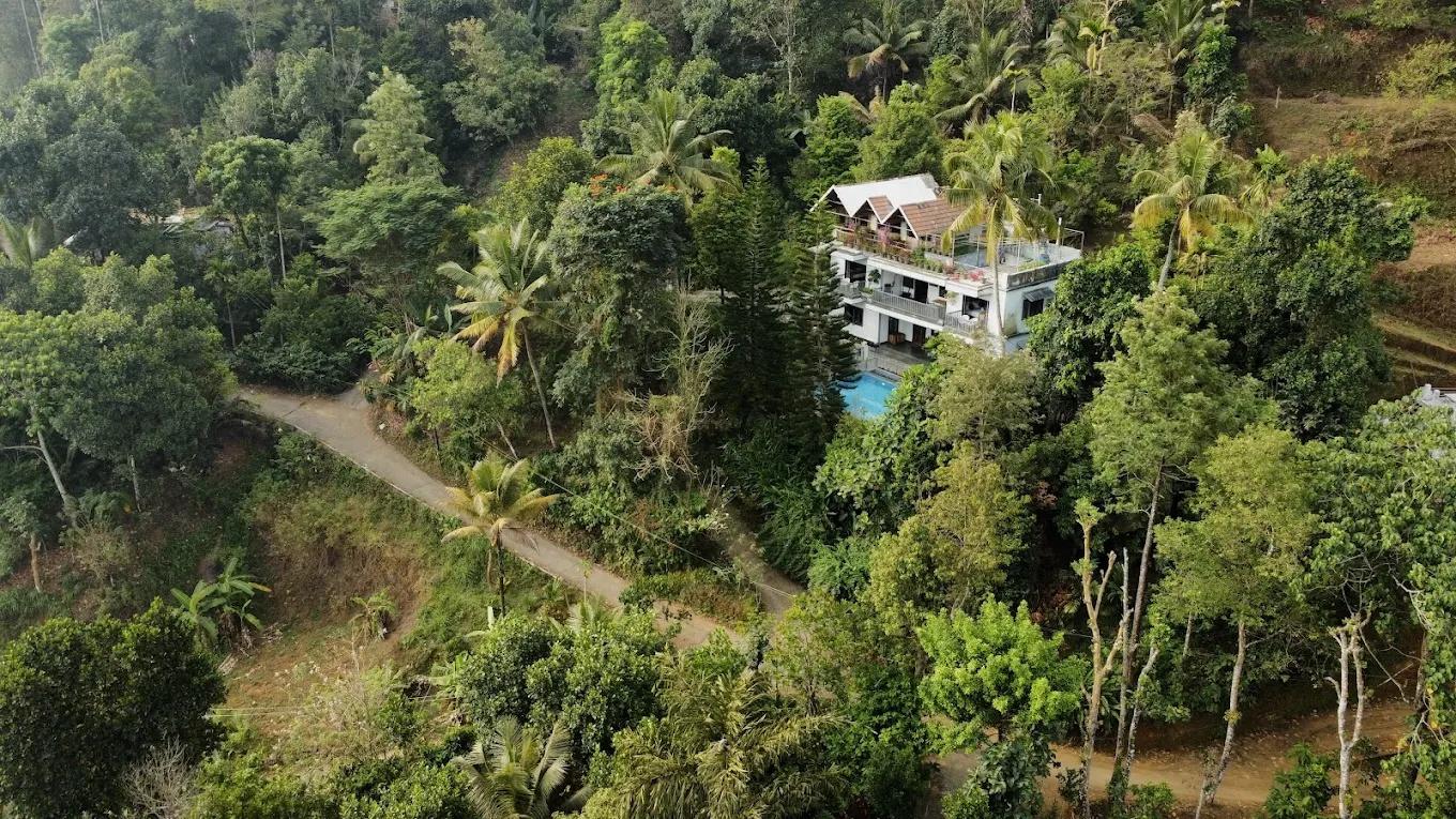 Sceva's Garden Home x Solis Nature