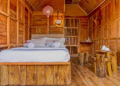 Sceva's Garden Home x Solis Nature