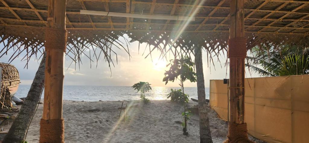 Bliss Beach Villa x Solis Nature