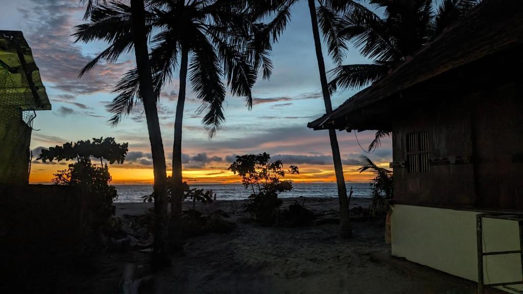 Beachillam x Solis Nature