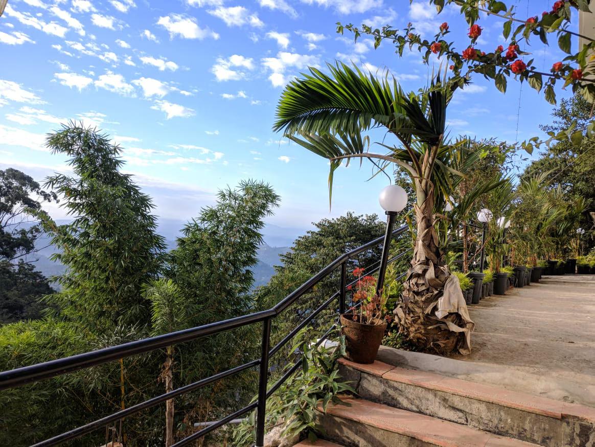 Mist Inn Resort x Solis Nature