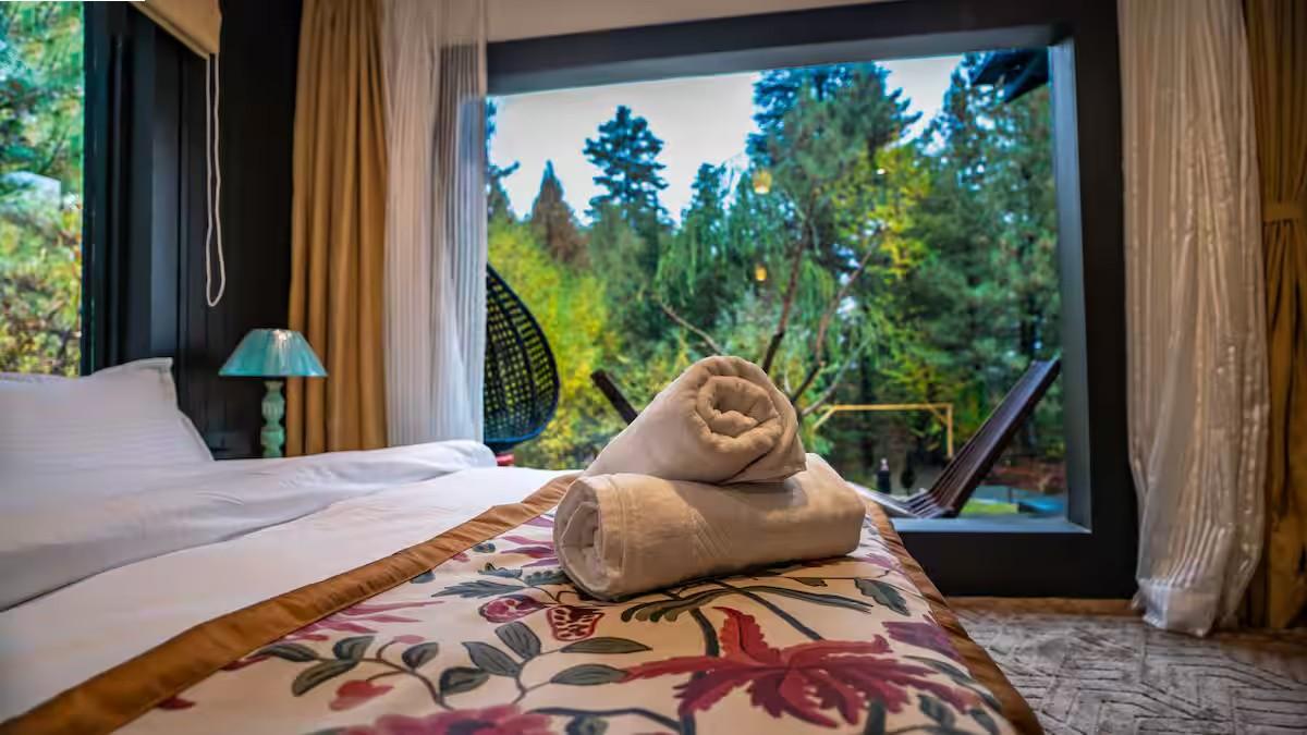 The Solitude x Solis Nature