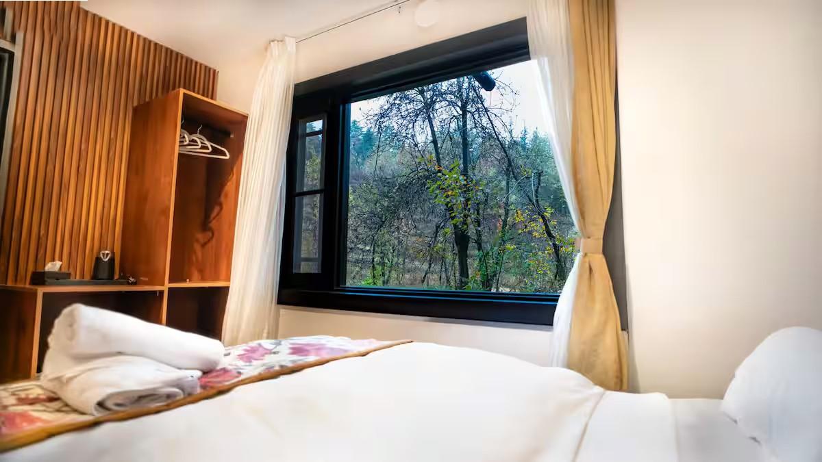 The Solitude x Solis Nature