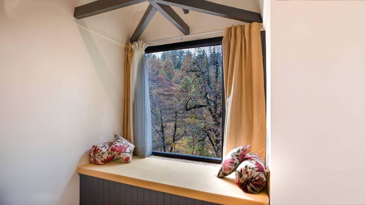 The Solitude x Solis Nature