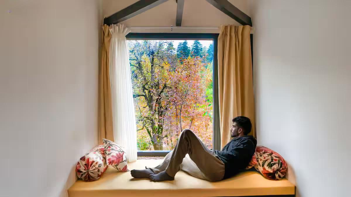 The Solitude x Solis Nature