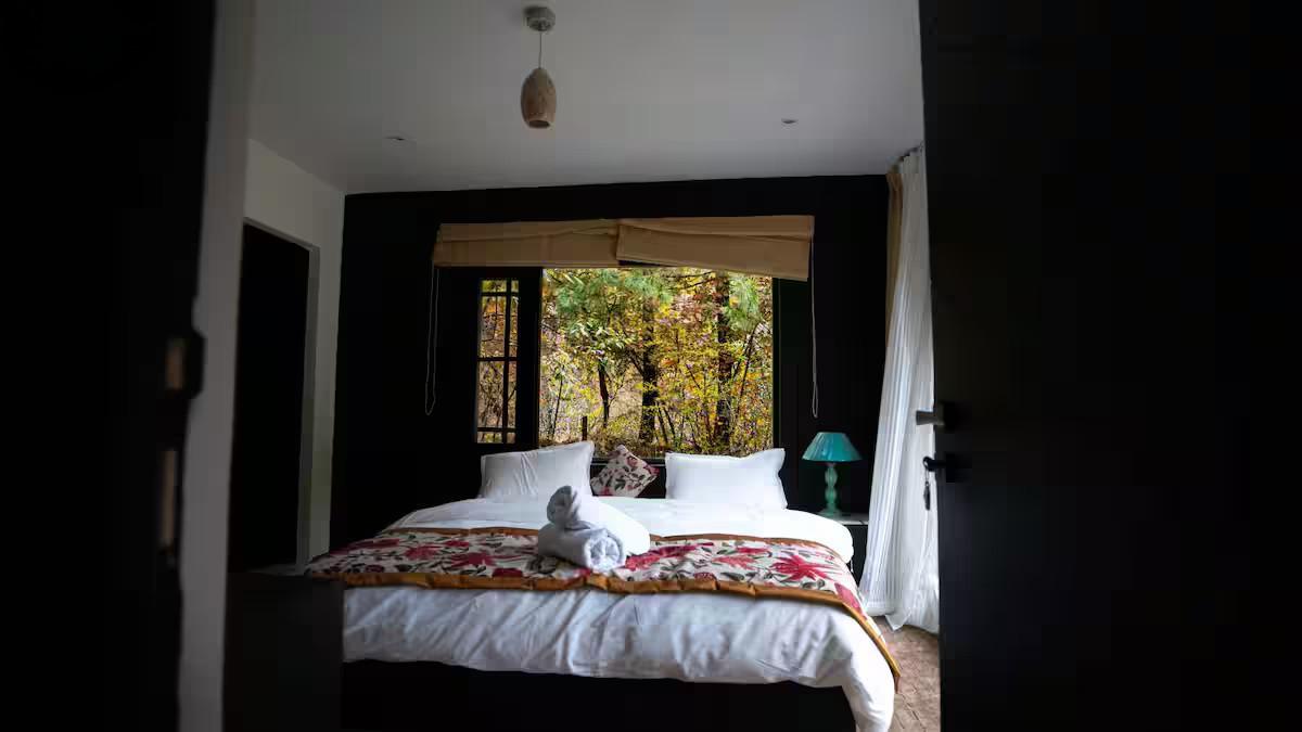 The Solitude x Solis Nature