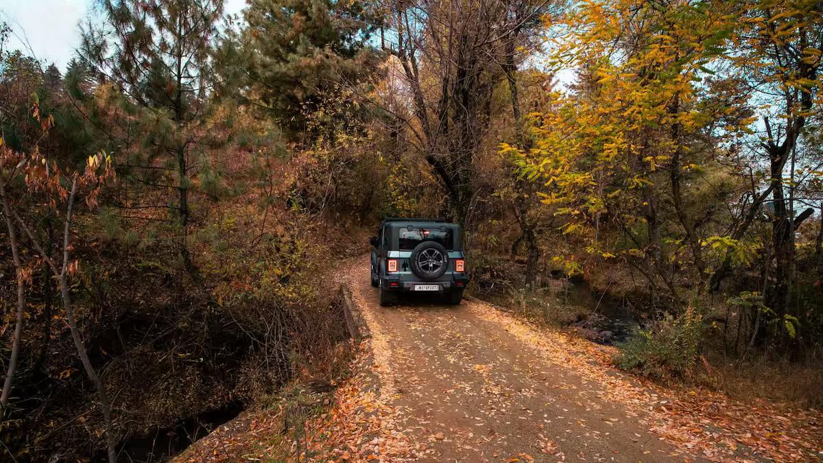 The Solitude x Solis Nature