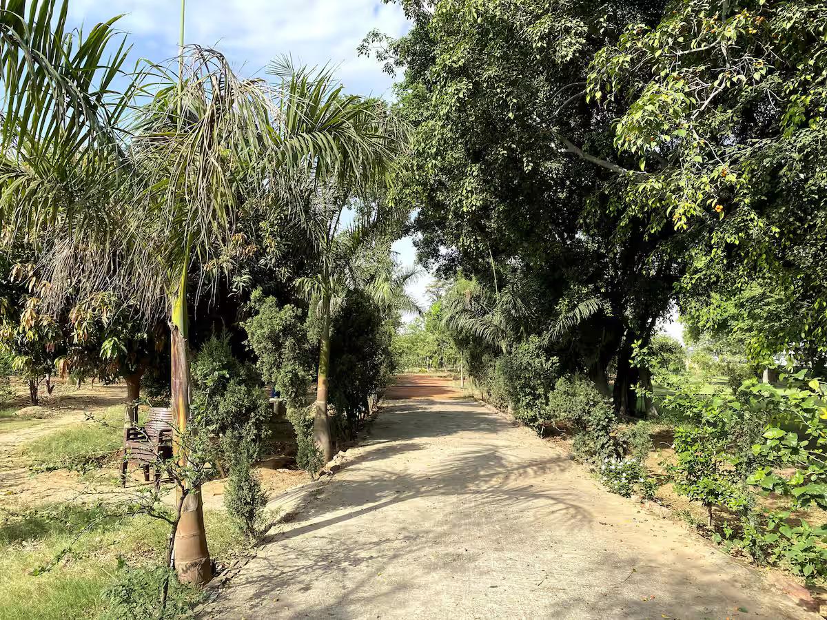 Farm stay in Gurugram | Pet Friendly x Solis Nature