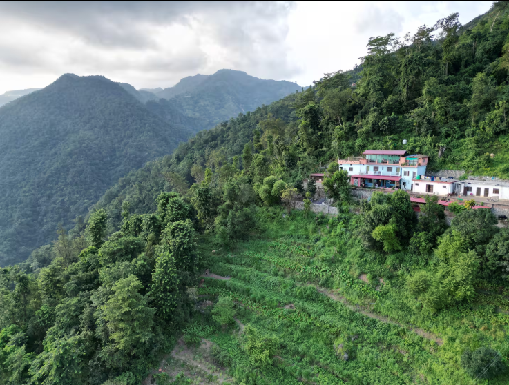 Wild mountain homestay x Solis Nature