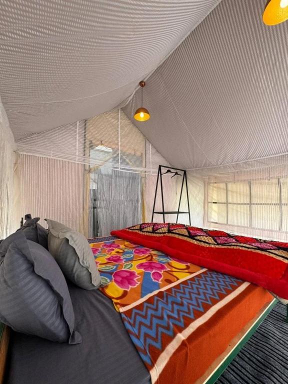 Stargazers Glamping x Solis Nature