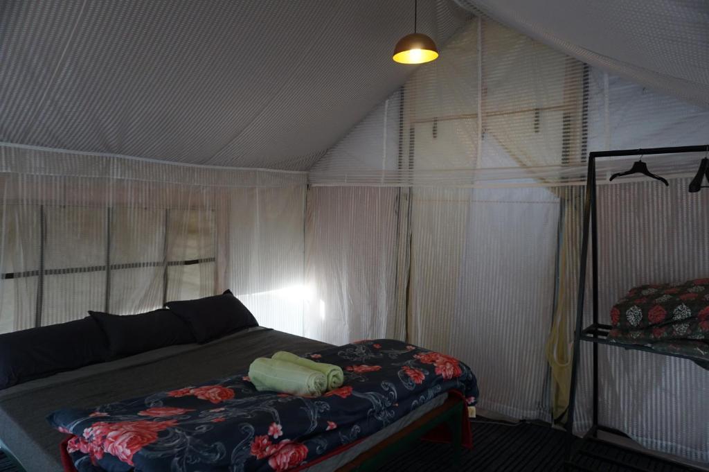 Stargazers Glamping x Solis Nature