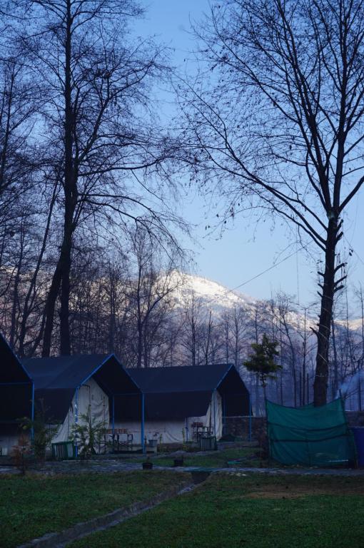 Stargazers Glamping x Solis Nature