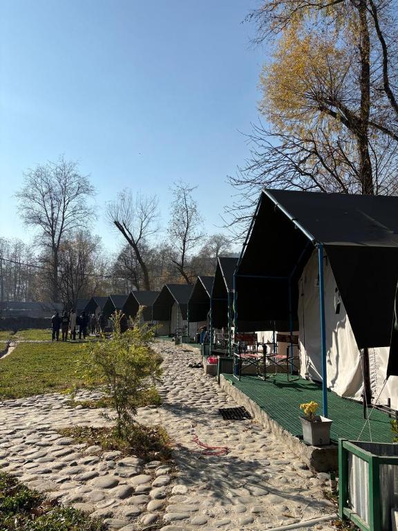 Stargazers Glamping x Solis Nature