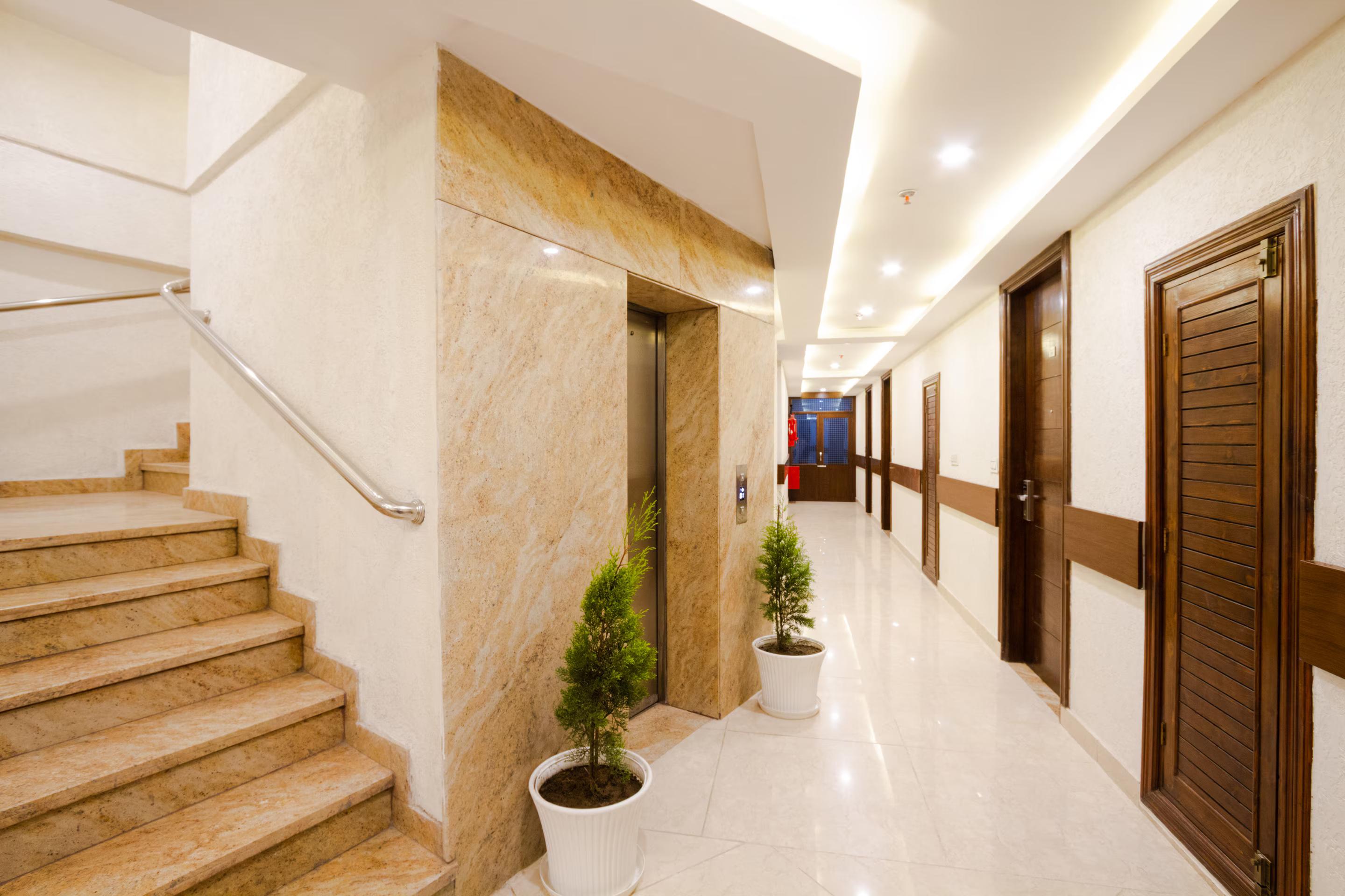 DLS La serene Valley x Solis Nature