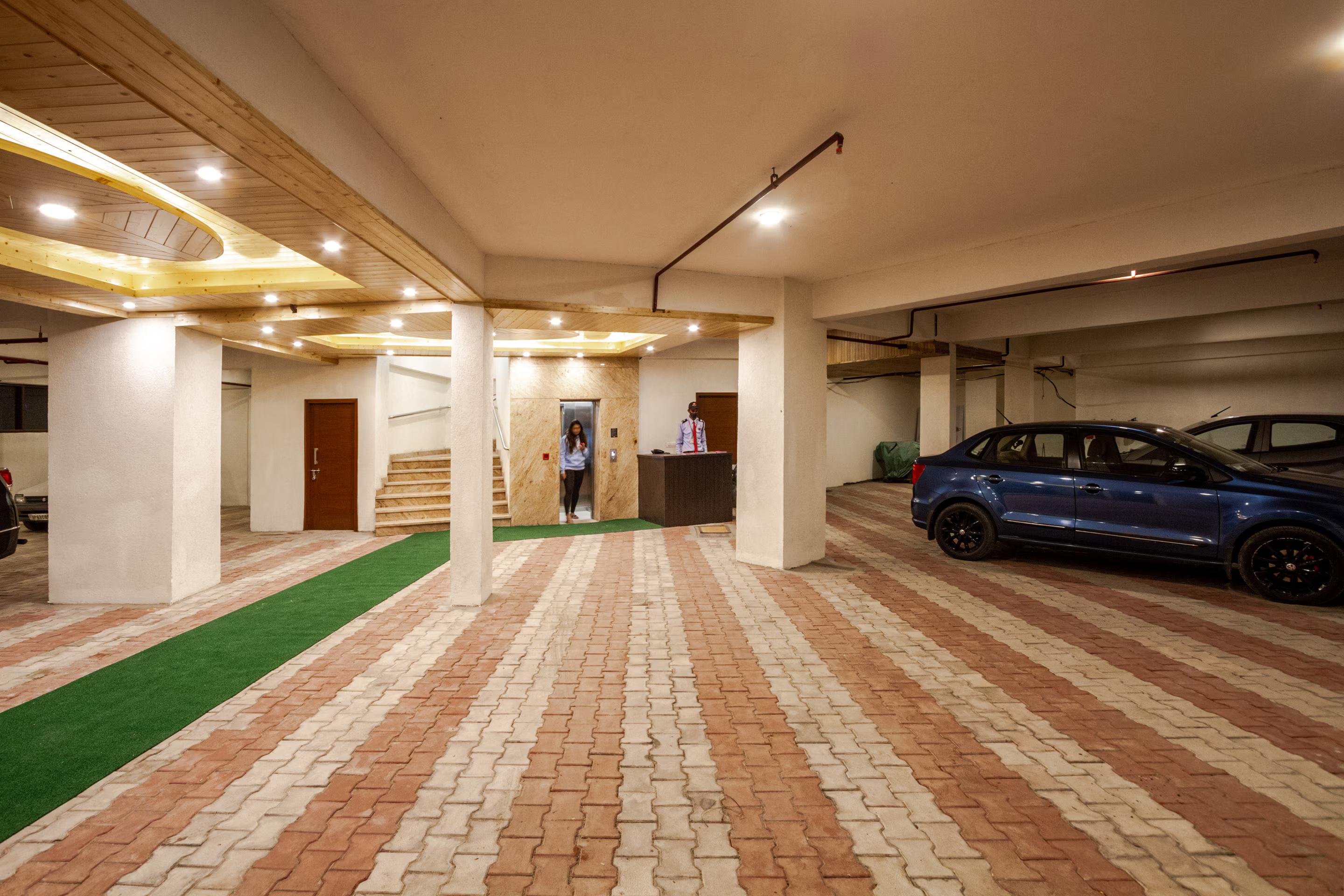 DLS La serene Valley x Solis Nature