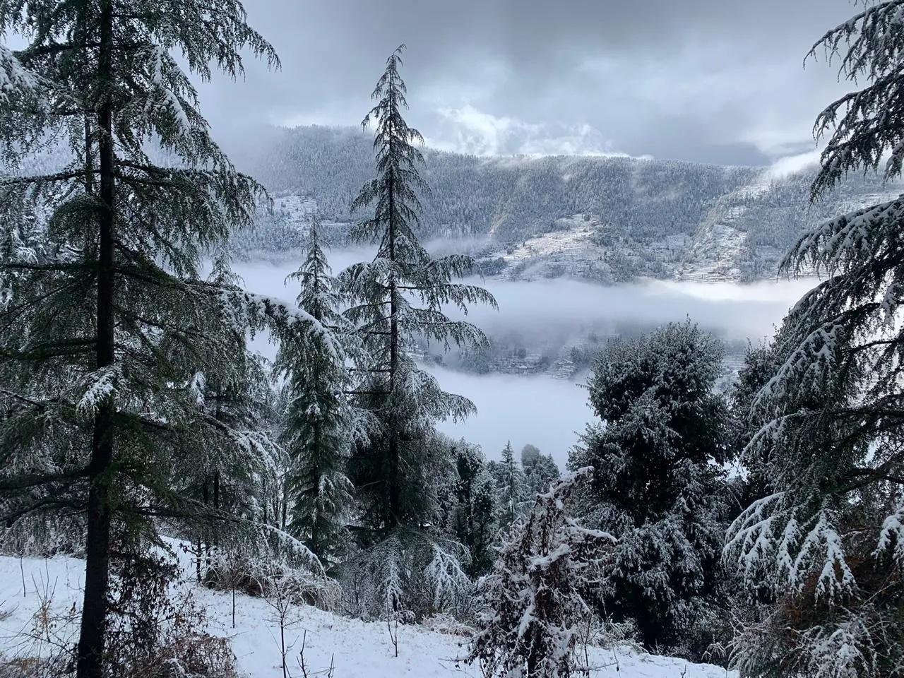 The Isisinga rooms x Solis Nature