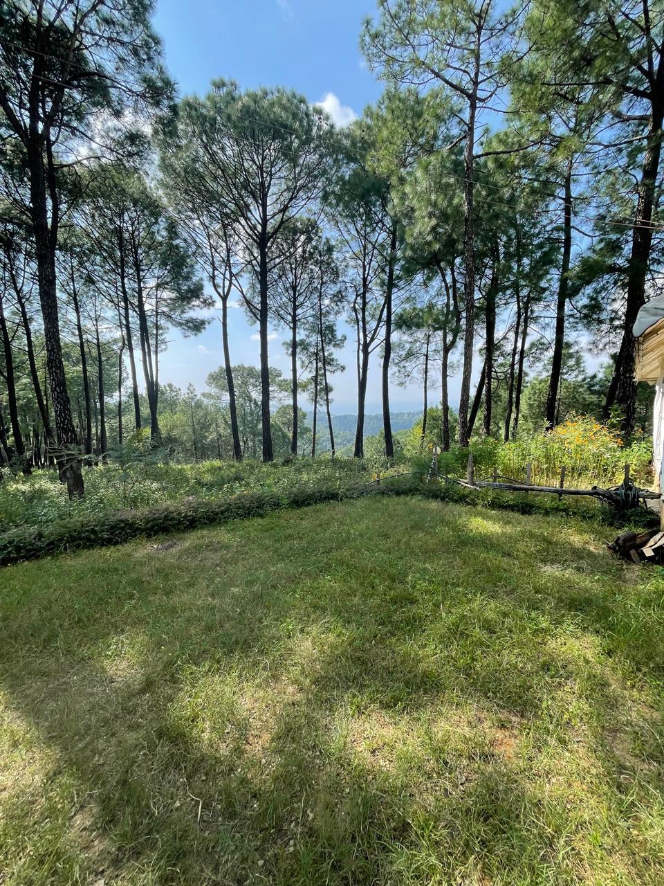 cabins in keori by astitva x Solis Nature