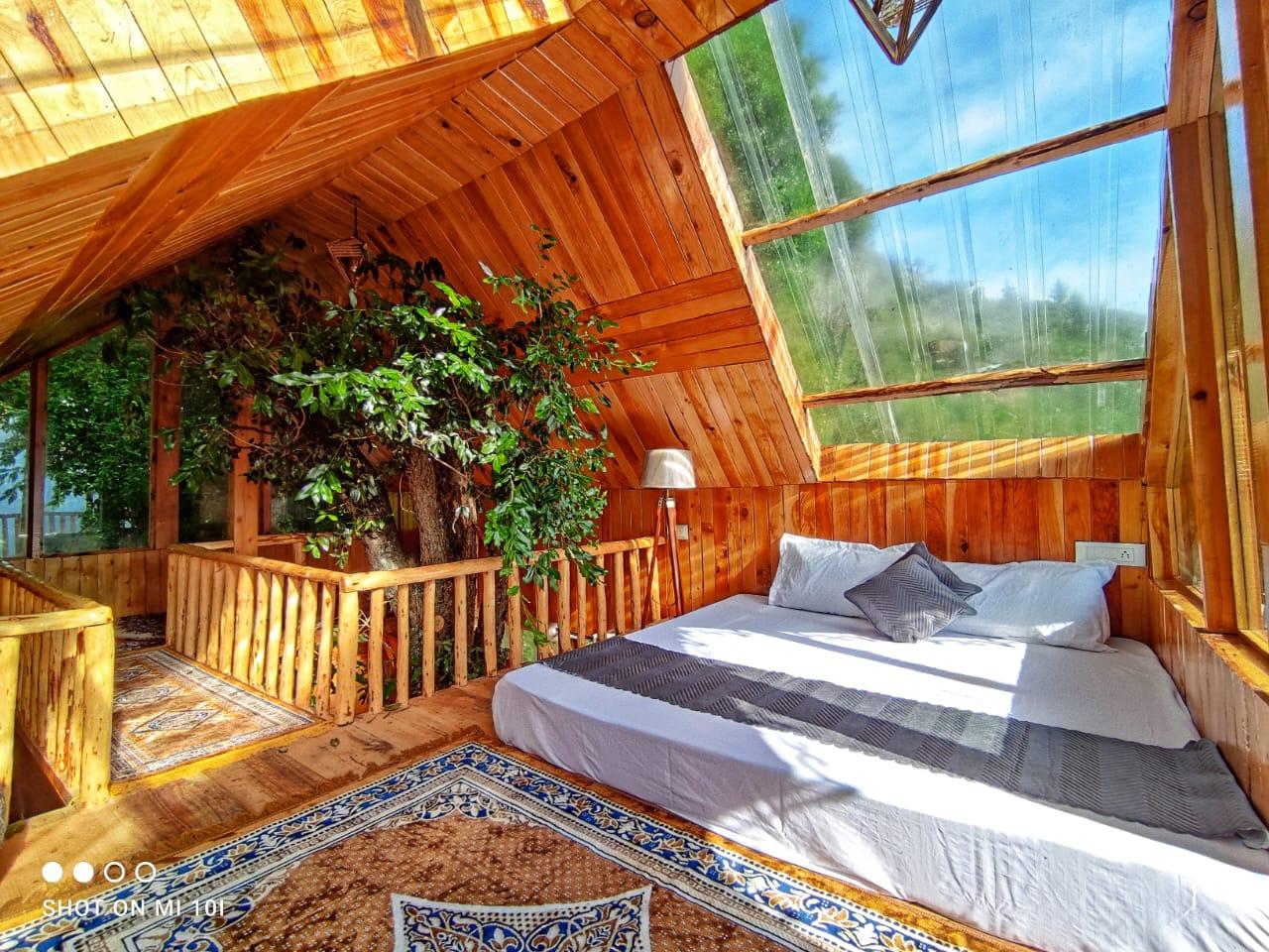 The Isisinga tree house x Solis Nature
