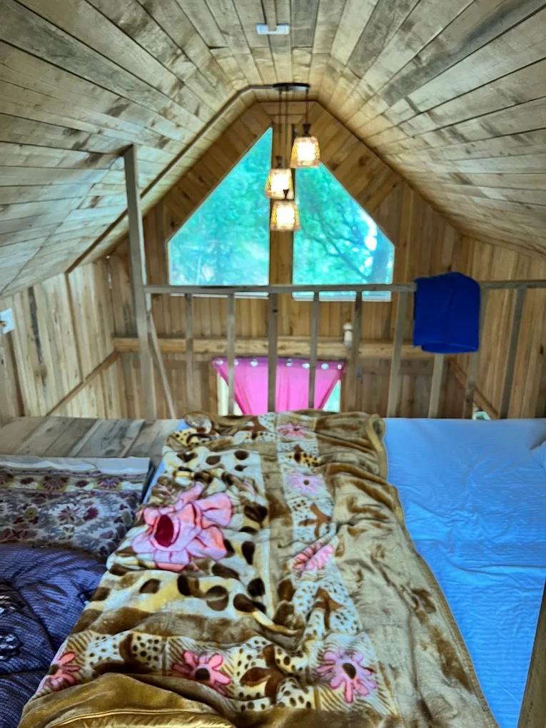 Rustic Treehouse Tandi x Solis Nature