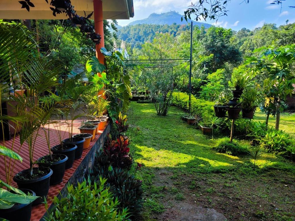 Chembani Holidays and Resorts Kanthalloo x Solis Nature