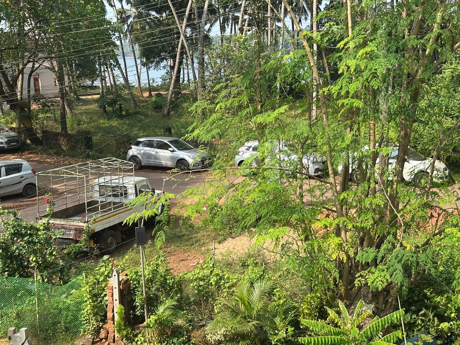 Noronha 2 BHK Private Pool Villa in Siolim x Solis Nature