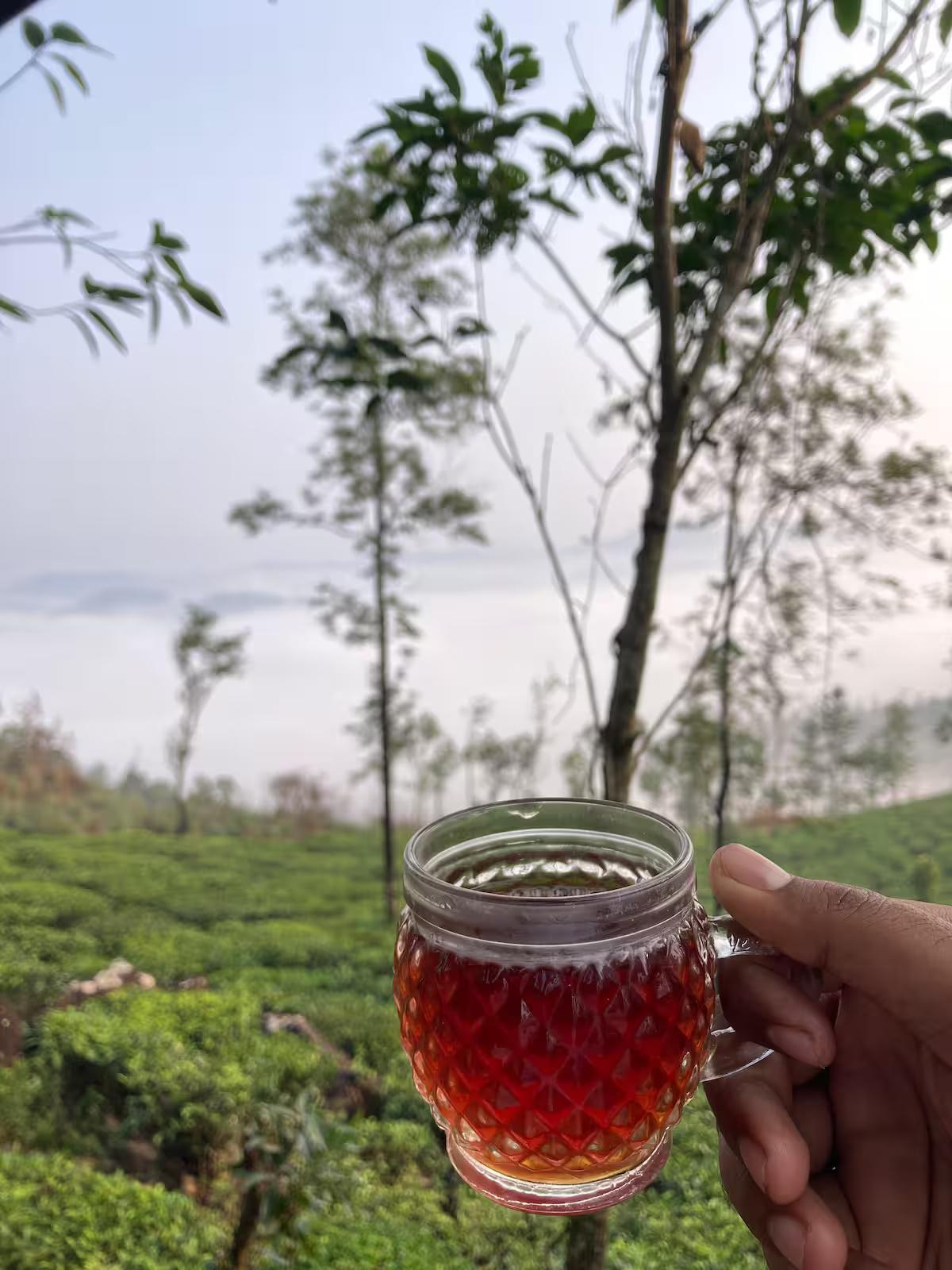 Thumpayil Hills Tree House x Solis Nature