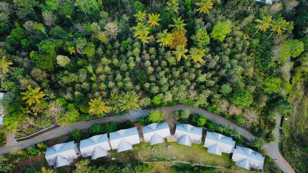 Mannoor Farms Mountain View Stays x Solis Nature