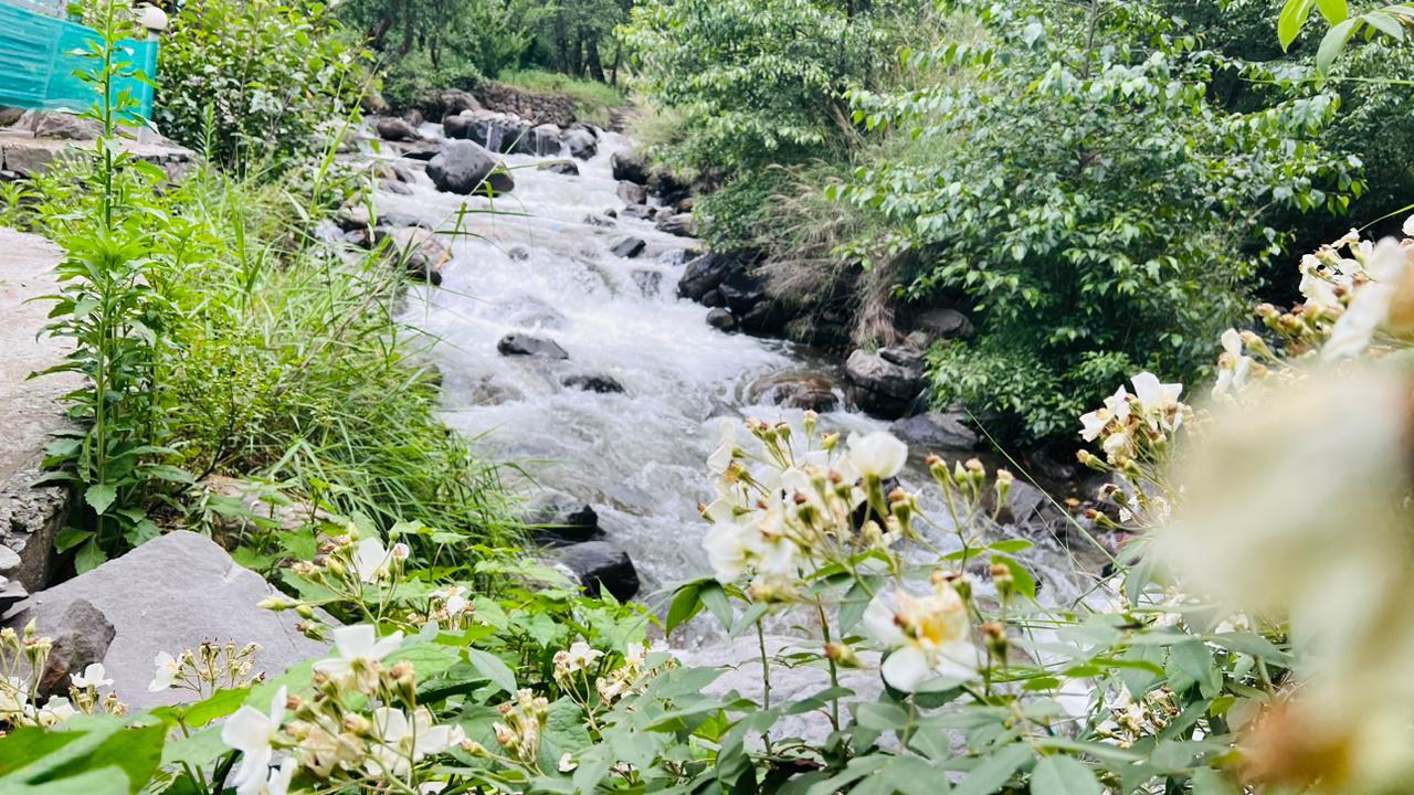 Rajgarh Cottages x Solis Nature